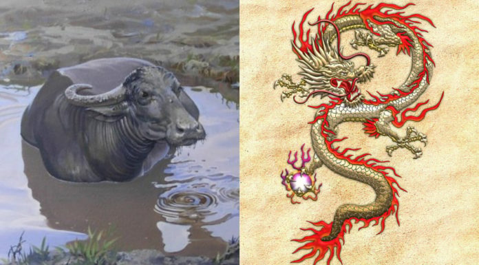 The Nimble Narrator: Crafting Captivating Copy
Unveiling the Tale of a Tenacious Toddler: How a 4-Year-Old’s Overnight Adventure Sparked a Flourishing Future in the Business World