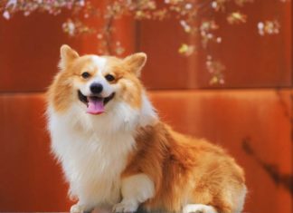 Strike Gold: Get Rich Quick at 3 Years Old, Spend Money Freely in the Next 7 Days