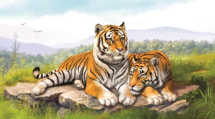 Thai Bach Cleans House: 4-Year-Old Always “Sticks” with Luck, Even Losing Money in 49 Upcoming Days