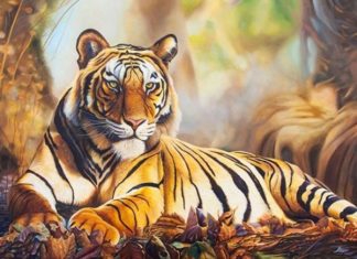 Horoscope for the New Week (9/10-15/10/2023): Good luck comes to those who are 3 years old, 1-year-olds lose money when going out