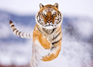 Heaven opens up: 4-year-old in 2024 ‘hits the jackpot’, 2025, a millionaire or a tycoon