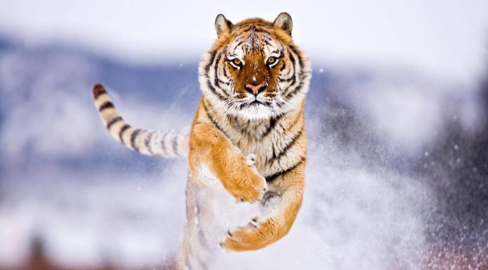 Heaven opens up: 4-year-old in 2024 ‘hits the jackpot’, 2025, a millionaire or a tycoon