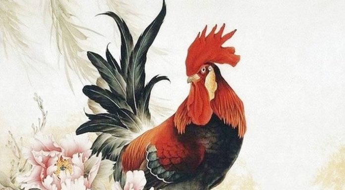 The New Chapter: Unlocking Prosperity at Dawn
On the cusp of a new day, a significant transformation is about to unfold. As the clock strikes midnight on October 15th, a three-year journey reaches a pivotal moment, marking the turn of a new page. This is not just any ordinary step forward, but a giant leap towards unparalleled success and wealth. It’s a momentous occasion where dreams converge with destiny, and the path ahead is illuminated with endless possibilities.