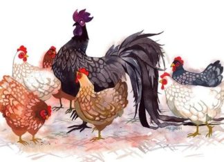 Hard work pays off: 3 years of prosperity, money flows like water, 1 year of counting money tirelessly