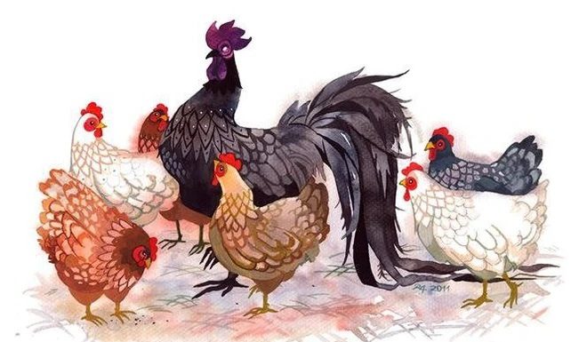 Hard work pays off: 3 years of prosperity, money flows like water, 1 year of counting money tirelessly