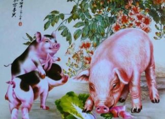 Unlocking the Secrets to Success: A Billionaire’s Journey at Age 3 – Discover the Heavenly Path to a Blissful and Prosperous Life