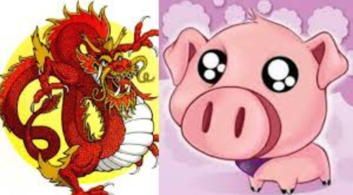 Flourishing Fortunes: 3 Zodiac Signs to Prosper on September 9 Lunar Calendar