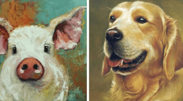 The Celestial Fortune: Unveiling the Top 4 Zodiac Signs Blessed with Abundance in the Final Days of October