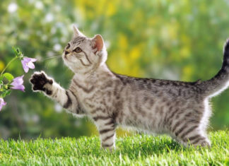 3 astral signs with abundant prosperity in their hands, money awaits their extravagant spending in the last 9 days of October.