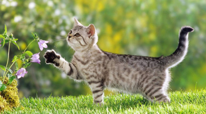 3 astral signs with abundant prosperity in their hands, money awaits their extravagant spending in the last 9 days of October.