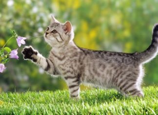 Good Fortune Awaits: 4 Zodiac Signs to Receive a Visit from Luck and Wealth in the End of the Year