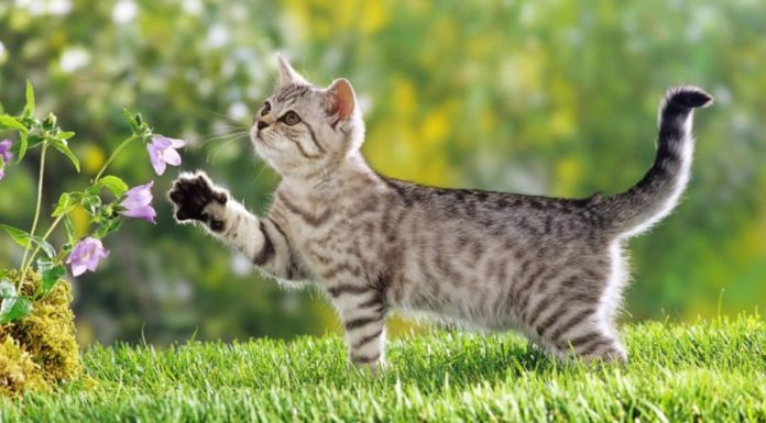 Good Fortune Awaits: 4 Zodiac Signs to Receive a Visit from Luck and Wealth in the End of the Year