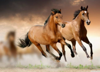 Change Your Life by Winning the Lottery: 3 Zodiac Signs to Watch Out for in 2024