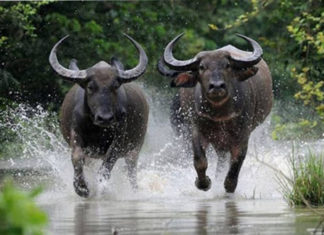 The Time Has Come: Prosperity at 4 Years Old, Life-Changing Jackpot in the Last 2 Months of 2024, Sudden Wealth