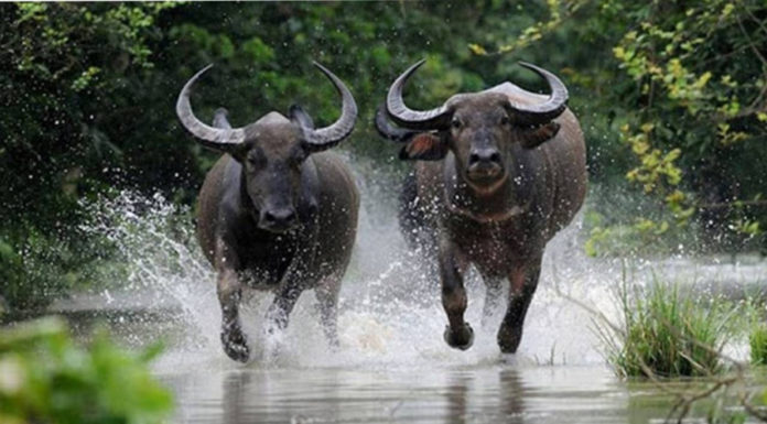 The Time Has Come: Prosperity at 4 Years Old, Life-Changing Jackpot in the Last 2 Months of 2024, Sudden Wealth