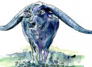 From now until the end of 2023, 3 years of abundance, money flowing like water to buy cars and houses