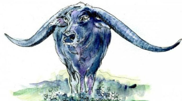 From now until the end of 2023, 3 years of abundance, money flowing like water to buy cars and houses