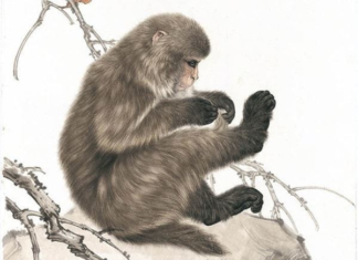 Big Fortune in Hand: Soaring at 3 years old, continuously “succeeding” for the next 3 years