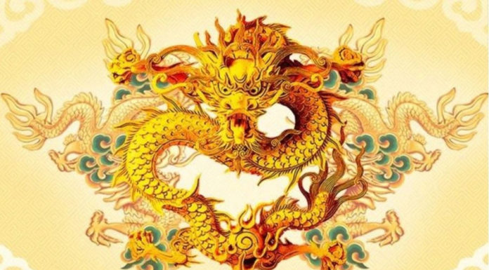 Lucky Trio in November 2023: Prosperity, Wealth, and Success Await