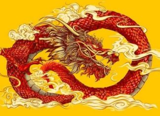 Wealthy at 3: Defying all odds, earning monthly income at 1 in November 2023