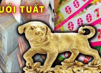 The Golden Fortune: Unlocking a 3-Year Flow of Abundance and Prosperity at Home