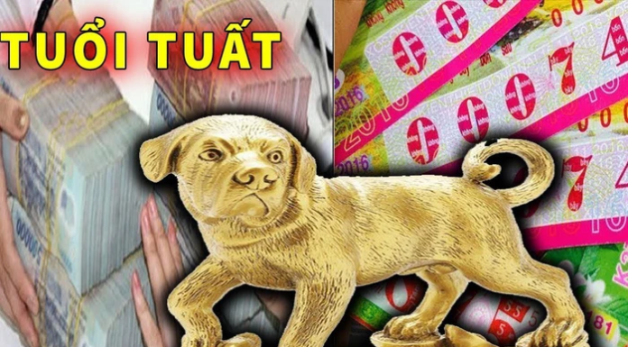 The Golden Fortune: Unlocking a 3-Year Flow of Abundance and Prosperity at Home