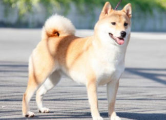 The Golden Thirties: 3 Zodiac Signs Unlocking Abundant Wealth and Fortune After 30.