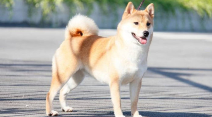 The Golden Thirties: 3 Zodiac Signs Unlocking Abundant Wealth and Fortune After 30.