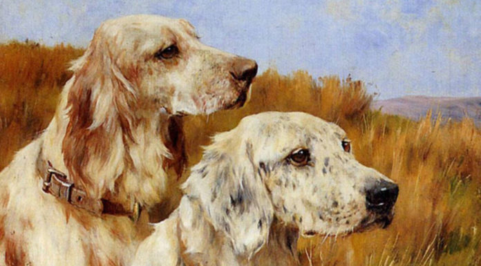 Luck is on your side: 3-year-old blessed with abundance and prosperity till Lunar New Year 2024