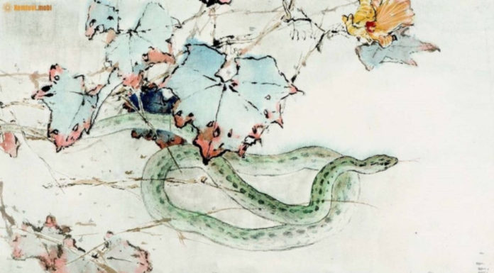 Fortune and Good Luck: 3 Zodiac Signs that Get Wealthier with Age, Become Rich and Prosperous