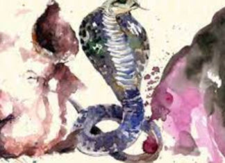 Unlocking Abundance: A 4-Year Journey to a Life of Wealth and Prosperity