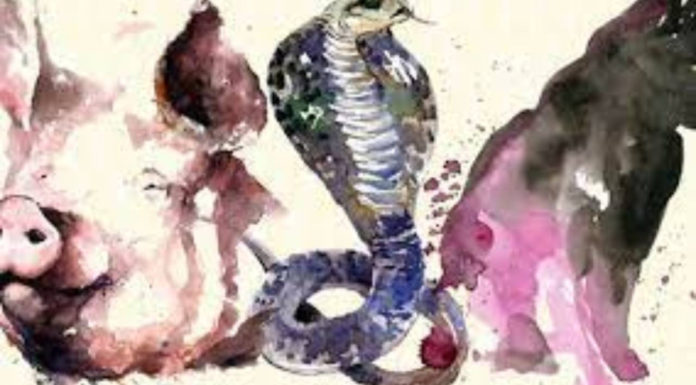 Unlocking Abundance: A 4-Year Journey to a Life of Wealth and Prosperity