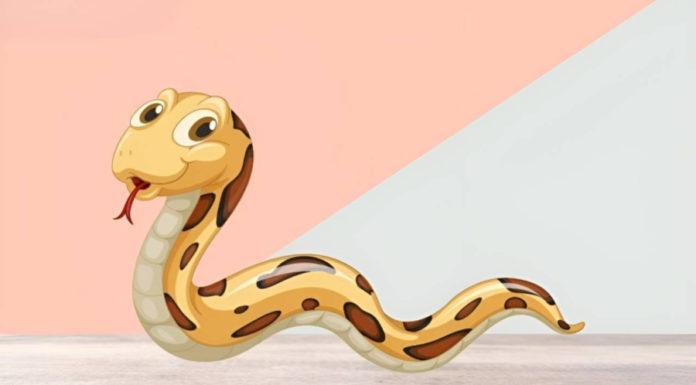 November’s Reddest at 4 years old: Become the top earner, spend without limit