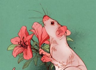 Weekdays “soaring,” weekends filled with fortune (11/13 – 11/19): 3 years old, overflowing with wealth, topping the gold charts.