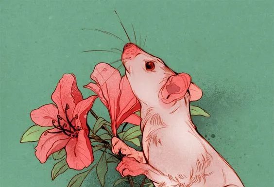 Weekdays “soaring,” weekends filled with fortune (11/13 – 11/19): 3 years old, overflowing with wealth, topping the gold charts.