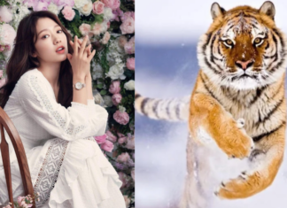 Mid-2024: A Bountiful 4-Year Journey, Tackling Challenges and Flourishing in Smooth Sailing