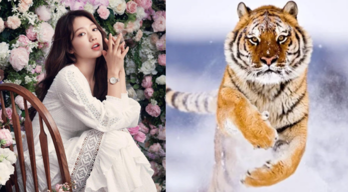 Compassionate and Virtuous Goddess: 4-Year-Old Like a Dragon Riding the Clouds, Abundant Blessings, Smooth Sailing in the Beginning of January