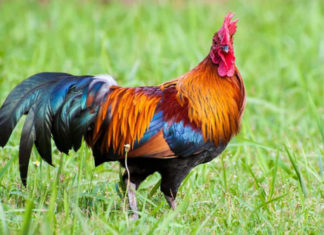 Own Your Luck: 3 Zodiac Signs That Will Hit the Jackpot, Prosperity All the Way till Year-End, Spend without Worries