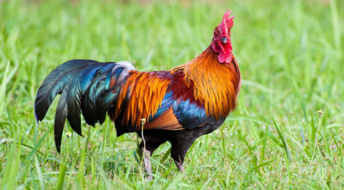 Own Your Luck: 3 Zodiac Signs That Will Hit the Jackpot, Prosperity All the Way till Year-End, Spend without Worries