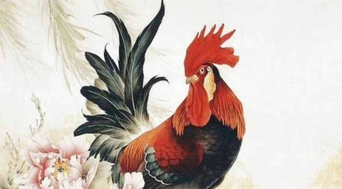 {“message”:”Please wait and try again later”}