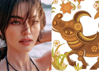 7 Decent Days in Late December: 4-year-old Hits the Jackpot, Money on the Rise, and Free Time to Celebrate Tet