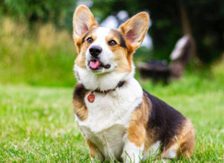 “A Fortunate Few: 3 Zodiac Signs to Experience Abundant Luck and Financial Blessings Until October’s End”