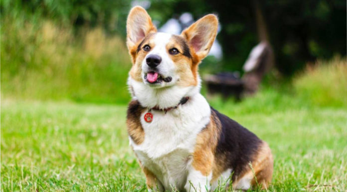 “A Fortunate Few: 3 Zodiac Signs to Experience Abundant Luck and Financial Blessings Until October’s End”