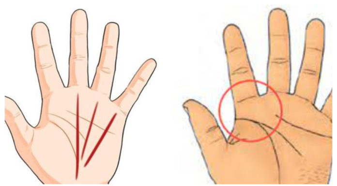 The blessed and prosperous have these three traits in their hands: Even possessing one-third, they can spend a lifetime without running out.