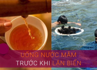 Why do divers often drink a sip of fish sauce before diving?