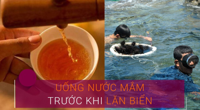 Why do divers often drink a sip of fish sauce before diving?