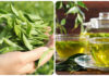 Is Green Tea Good for You?