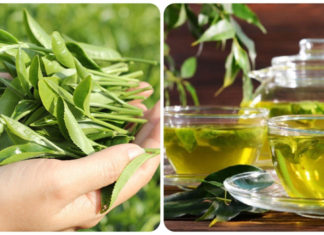 Is Green Tea Good for You?