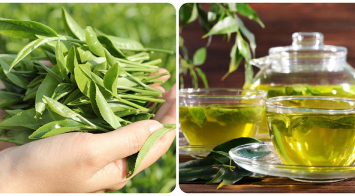 Is Green Tea Good for You?