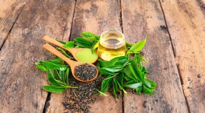 Green tea infusion with a few slices of this readily available in the kitchen, inexpensive, multipurpose aid for weight loss in the most effective way